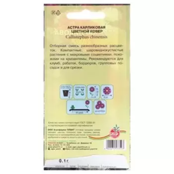 Семена цветов Астра Карликовая "Цветной ковер", 0,1 г