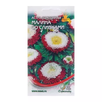 Семена цветов Астра помпон. "Малина со сливками", 100 шт