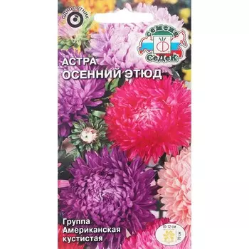 Семена цветов Астра "Осенний этюд" 0,2г