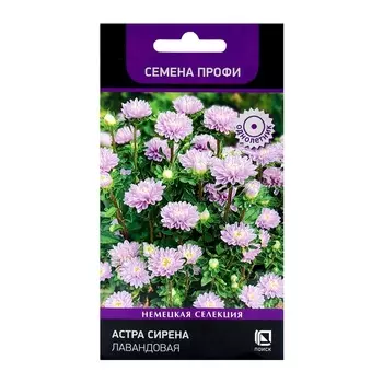 Семена цветов Астра Сирена Лавандовая, 0,05гр
