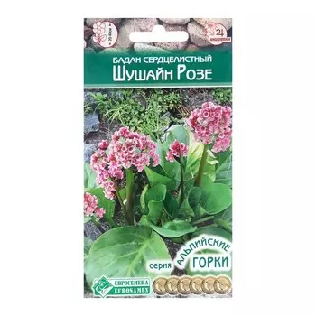 Семена цветов Бадан сердцелистный "Шушайн Розе", 5 шт