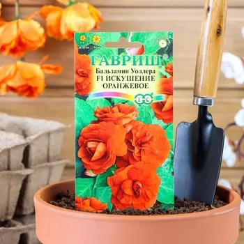 Семена цветов Бальзамин "Уоллера Искушение оранжевое" F1, О, ц/п, 4 шт.