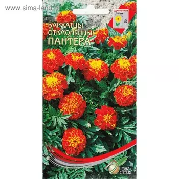 Семена цветов Бархатцы отклонённые "Пантера" Дом семян, О, 100 шт
