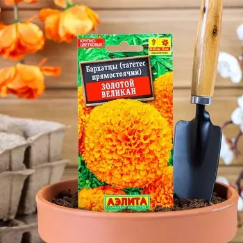 Семена цветов Бархатцы «Золотой великан», О, 0.1 г