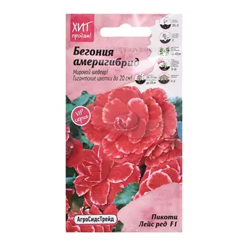 Семена цветов Бегония "Америгибрид Пикоти Лейс Рейд F1", 5 шт