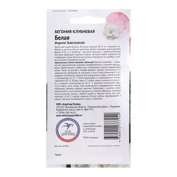 Семена цветов Бегония клубневая "Белая", 6 шт