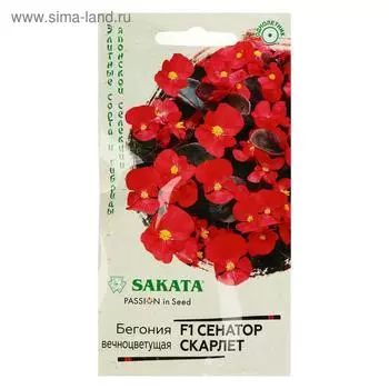 Семена цветов Бегония "Сенатор Скарлет", ц/п, F1, вечноцветущая, серия Элитная клумба 4 шт