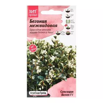 Семена Цветов Бегония "Сенсация Белая", 5 шт