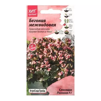 Семена Цветов Бегония "Сенсация Розовая", 5 шт