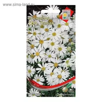 Семена цветов Брахикома "Ева" белая, 180 шт