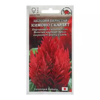 Семена цветов Целозия "Кимоно Скарлет", 10 шт