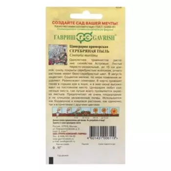Семена цветов Цинерария приморская "Серебряная пыль", ц/п, 0,05 г