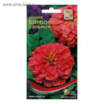 Семена цветов Цинния "Бонбон сальмон", 24 шт