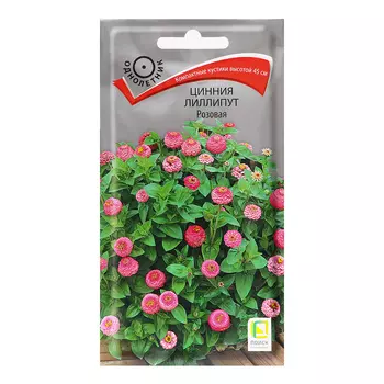 Семена цветов Цинния "Лиллипут", Розовая, 0,4гр.