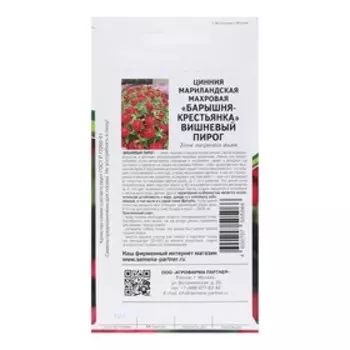 Семена цветов цинния махровая барышня-крестьянка "Вишневый Пирог", 5 шт.
