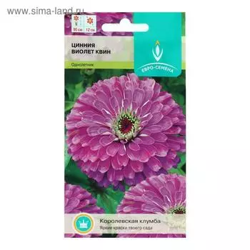 Семена цветов Цинния "Виолет Квин",однолетник, цв/п, 0,3 г