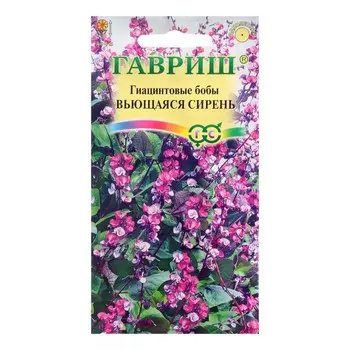 Семена цветов Долихос (Гиацинтовые бобы) "Вьющаяся сирень", ц/п, 4 шт