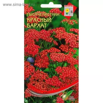 Семена цветов Тысячелистник "Ахиллея" 210 шт.