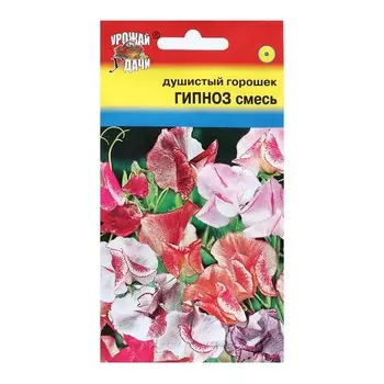 Семена цветов Душица "ГИПНОЗ", смесь, 0,4 г