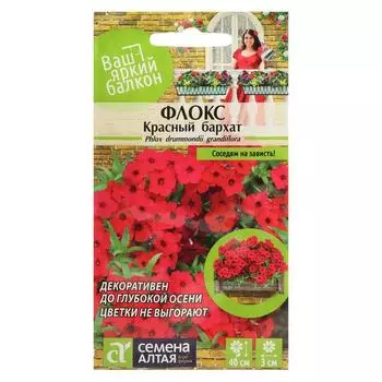 Семена цветов Флокс "Красный Бархат", Друммонда, Сем. Алт, ц/п, 0,1 г