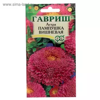 Семена цветов Астра Пампушка вишневая, помпонная, О, 0,3 г