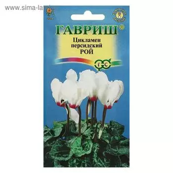 Семена цветов Цикламен "Рой", ц/п, персидский, 3 шт.