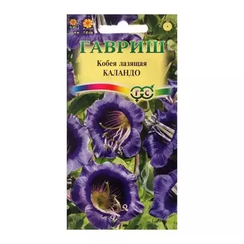 Семена цветов Кобея "Каландо", ц/п, 5 шт.