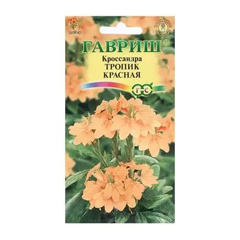 Семена цветов Кроссандра "Тропик красная", ц/п, 3 шт.