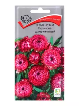 Семена цветов Гелихризум Королевский размер малиновый, 0,1гр