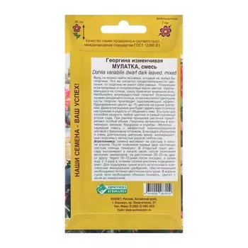 Семена цветов Георгина изменчивая "Мулатка" смесь, 20 шт