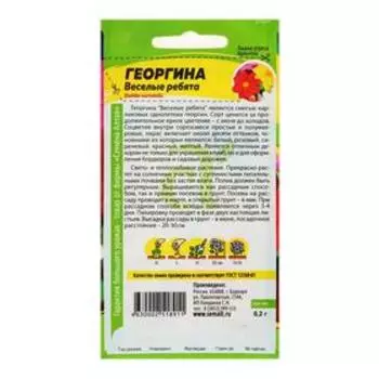 Семена цветов Георгина "Веселые Ребята", ц/п, О, 0,2 г.