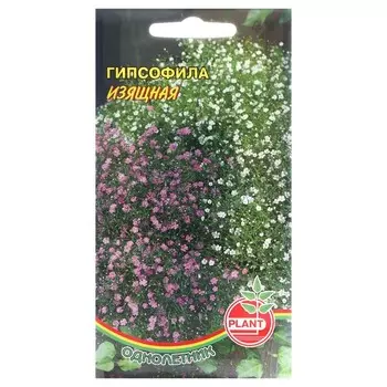 Семена цветов Гипсофила "Плант" "Изящная", 0,1 г