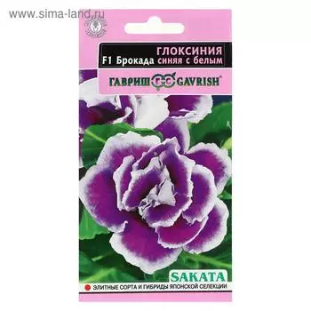 Семена цветов Глоксиния "Брокада синяя с белым", ц/п, F1, 4 шт.