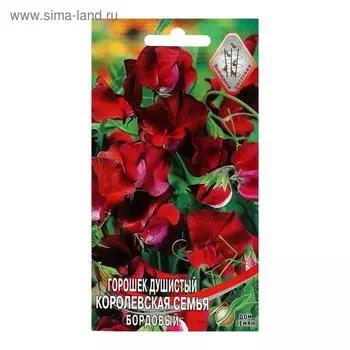 Семена цветов Горошек душистый "Королевская семья", бордовый, 6 шт