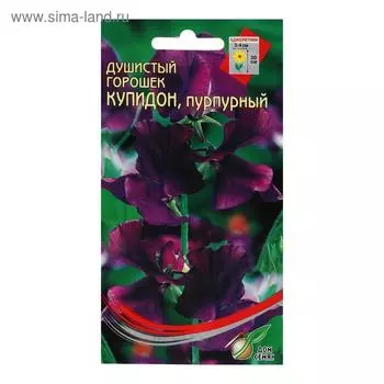 Семена цветов Горошек душистый "Купидон", пурпурный, 6 шт
