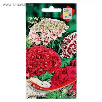 Семена цветов Гвоздика "Совершенство", 40 шт.