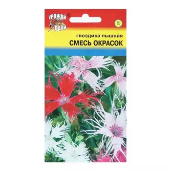Семена цветов Гвоздика Пышная "Смесь окрасок", 0,1 г
