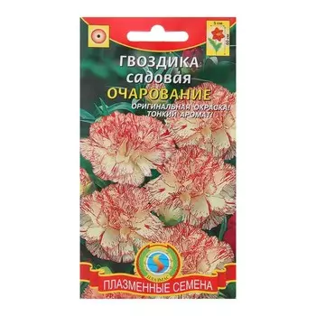 Семена цветов Гвоздика садовая "Очарование", О, 0,1 г