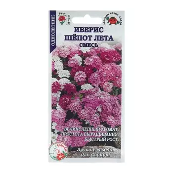 Семена цветов Иберис "Шепот Лета", 0,3 г
