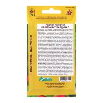 Семена цветов Ипомея перистая квамоклит "Кардинал", 10 шт