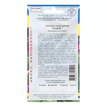 Семена цветов Ипомея пурпурная "Рафлс", 0,2 гр