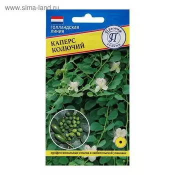 Семена цветов Каперс колючий , 3 шт