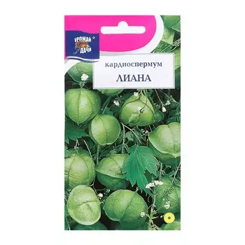Семена цветов Кардиоспермум "ЛИАНА", 0,3 г