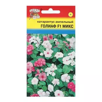 Семена цветов Катарантус "ГОЛИАФ Микс", 0,01г.
