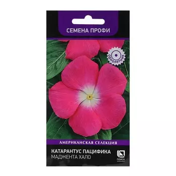 Семена цветов Катарантус Пацифика "Маджента Хало" 10 шт