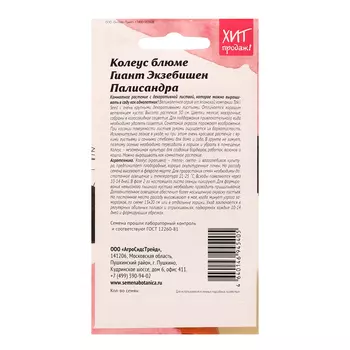 Семена цветов Колеус блюме "Гиант Экзебишен Палисандра", 10 шт