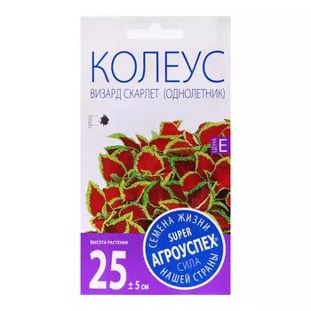 Семена цветов Колеус "Визард Скарлет", 10 шт