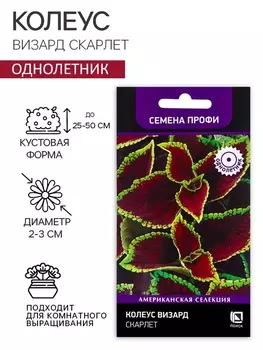 Семена цветов Колеус Визард Скарлет, 10шт