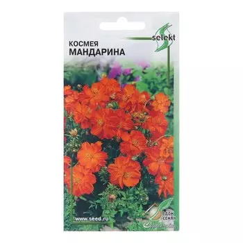 Семена цветов Космея "Мандарина", 10 шт