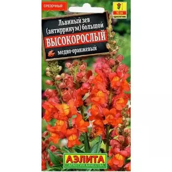 Семена цветов Львиный зев «Высокорослый», однолетник, медно-оранжевый